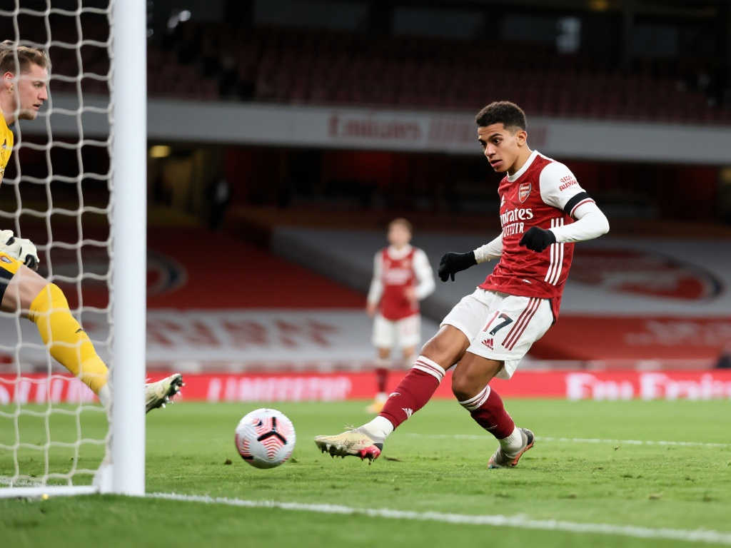 爱好者的瞩 爱好者的瞩